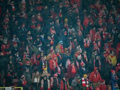 Kibice na meczu Widzewa Łódź z Radomiakiem Radom