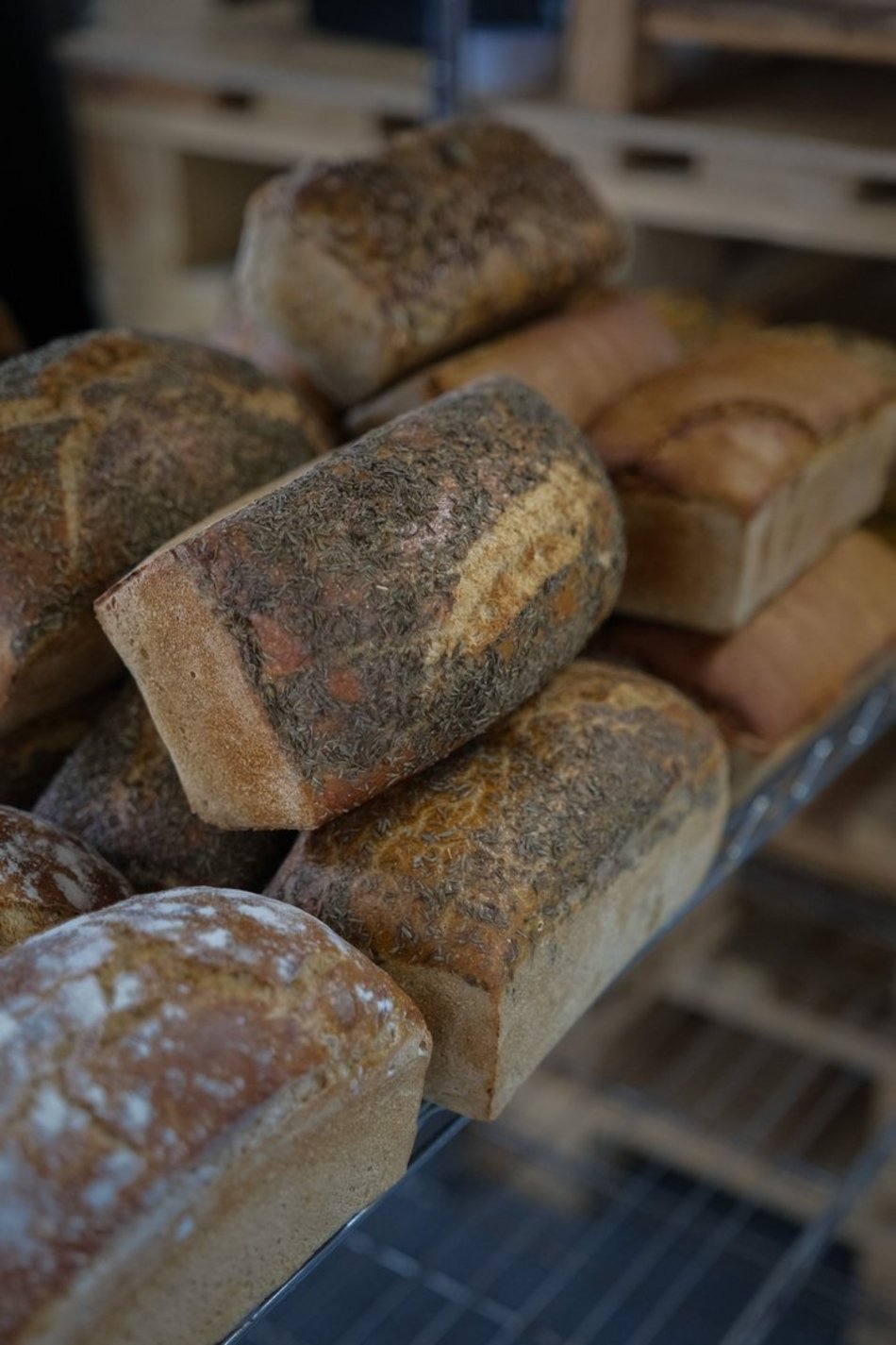Łódź. Bazar smaku w Ogrodach Geyera w Łodzi już otwarty! Warto odwiedzić to miejsce