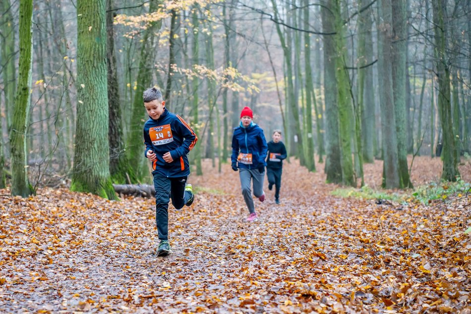 Cookie Run w Lesie Łagiewnickim w Łodzi