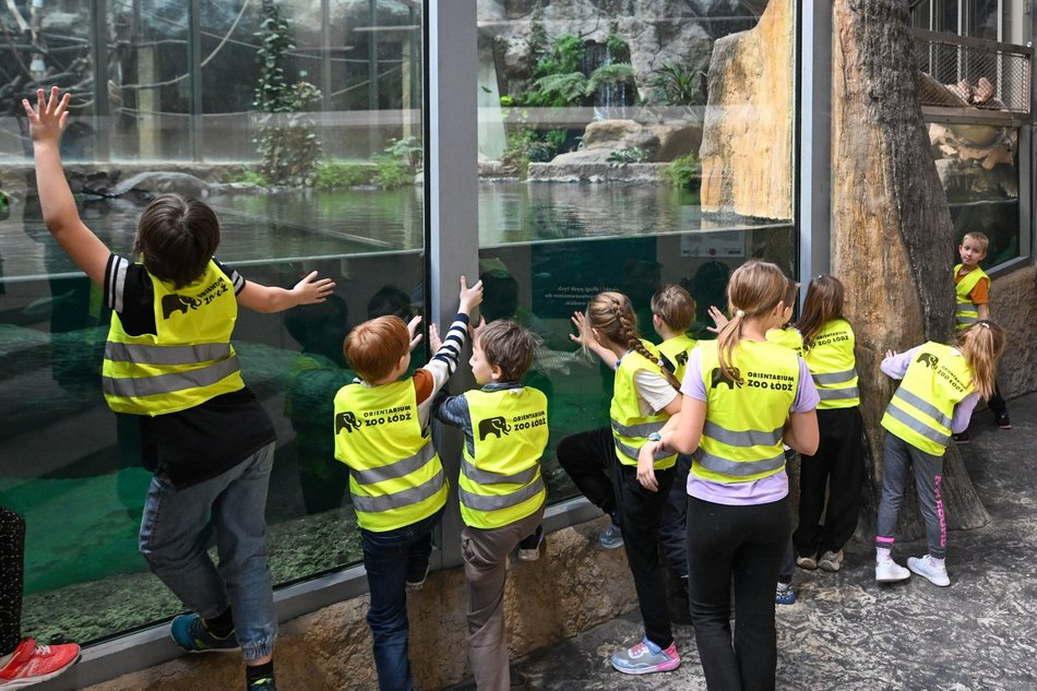 Łódź. Ferie zimowe 2026 w Orientarium Zoo Łódź