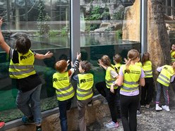Łódź. Ferie zimowe 2026 w Orientarium Zoo Łódź