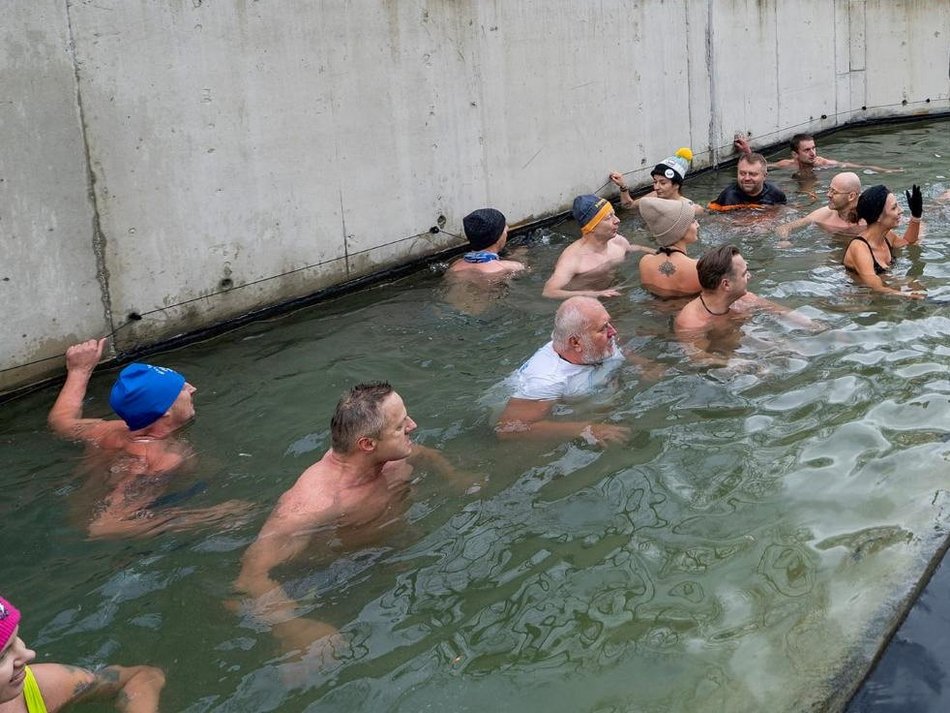 Łódź. Morsowanie w basenie dla słoni Orientarium Zoo Łódź