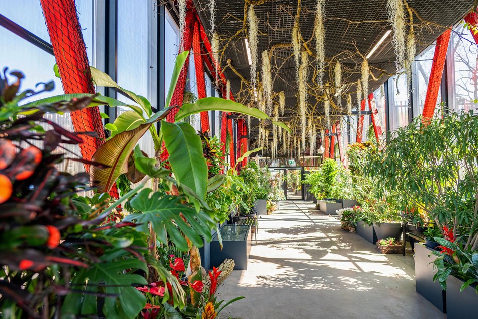 Łódź. Nowa motylarnia w Orientarium Zoo Łódź już otwarta! Największe takie miejsce w Polsce