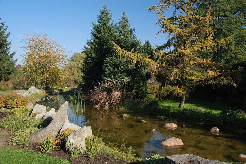 Alpinarium w Ogrodzie Botanicznym w Łodzi