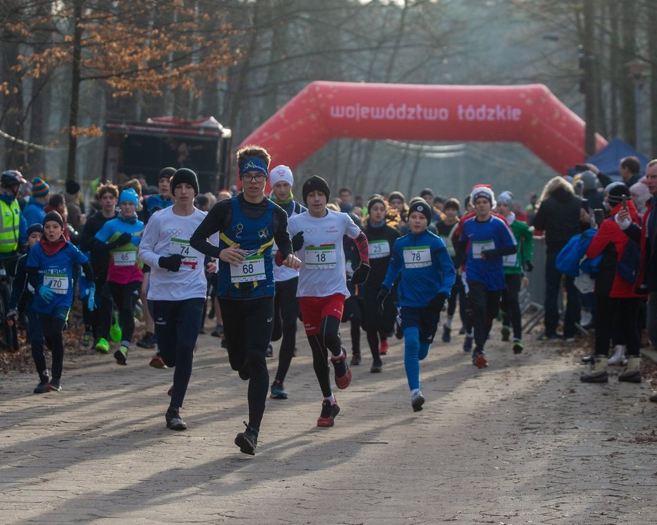 biegacze w lesie