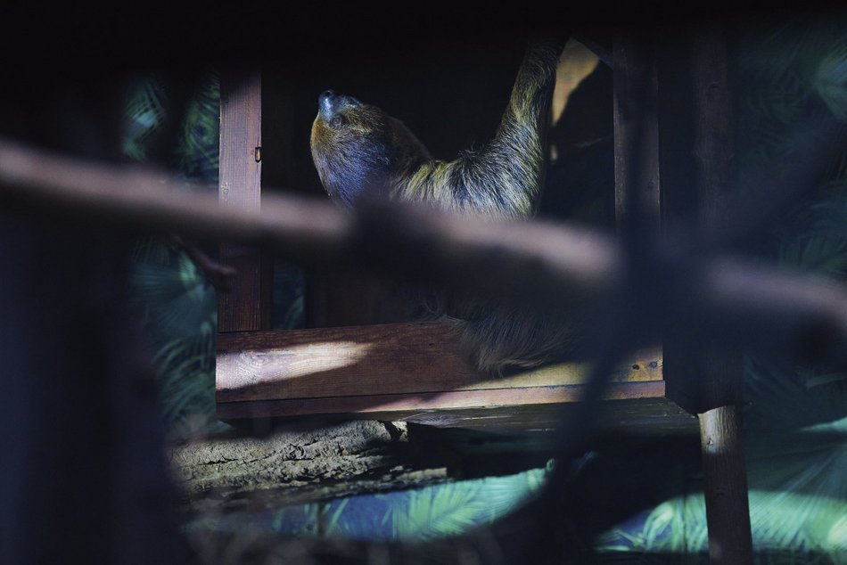 Noc Muzeów Łódź 2026 w Orientarium Zoo Łódź