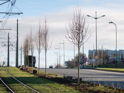 Łódź. Budżet Obywatelski Łódź 2025. Od konia Tadka po place zabaw – tak wspólnie zmieniliśmy Łódź!