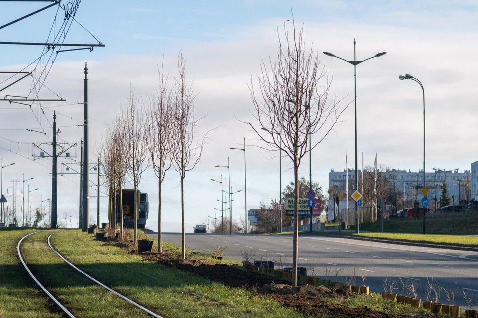 Łódź. Budżet Obywatelski Łódź 2025. Od konia Tadka po place zabaw – tak wspólnie zmieniliśmy Łódź!