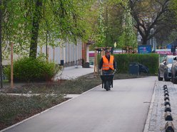 Łódź. Zielona rewolucja na Lutomierskiej w Łodzi. Posadzili ponad 20 nowych drzew!