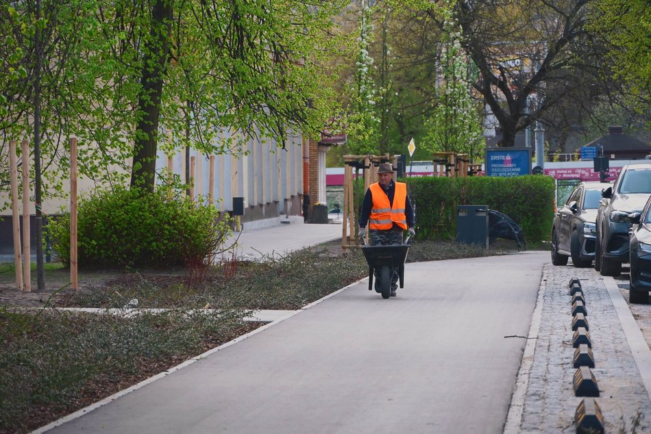 Łódź. Zielona rewolucja na Lutomierskiej w Łodzi. Posadzili ponad 20 nowych drzew!