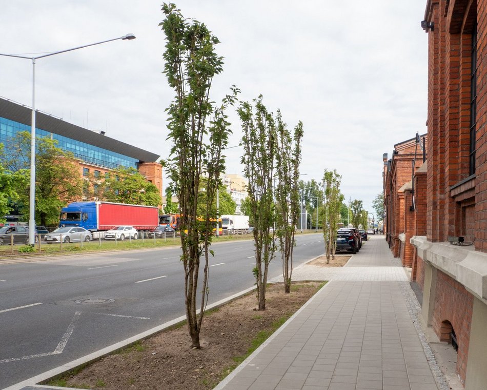 Łódź. Przy Monopolis w Łodzi jest coraz piękniej. Wspaniałe połączenie natury i nowoczesności