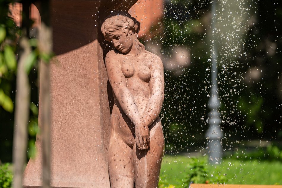 Łódź. Muzea w Łodzi czekają na odwiedzających. Kiedy otwiera się ogród Muzeum Miasta Łodzi i Dętka?