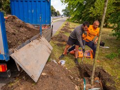 Wojska Polskiego w Łodzi jeszcze bardziej zielona! Przybyło 300 nowych drzew