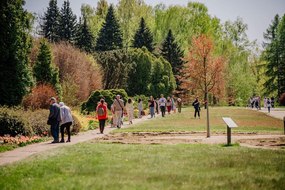 Łódź. Ogród Botaniczny w Łodzi w wiosennej odsłonie