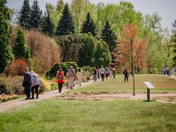 Łódź. Ogród Botaniczny w Łodzi w wiosennej odsłonie