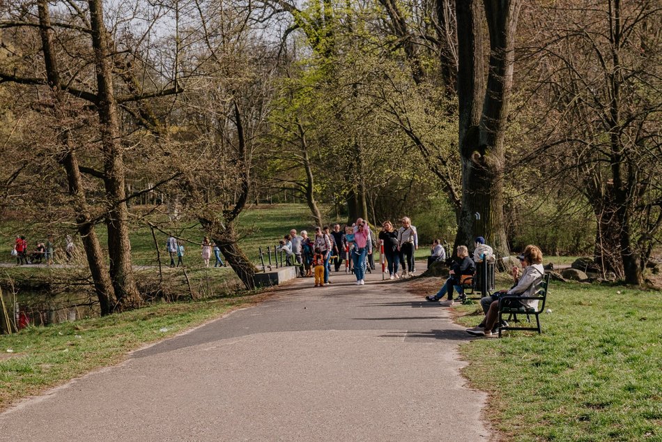 Łódź. Spacer po Bałutach z Zieloną Łodzią. Odkryj tajemnice Julianowa i Marysina