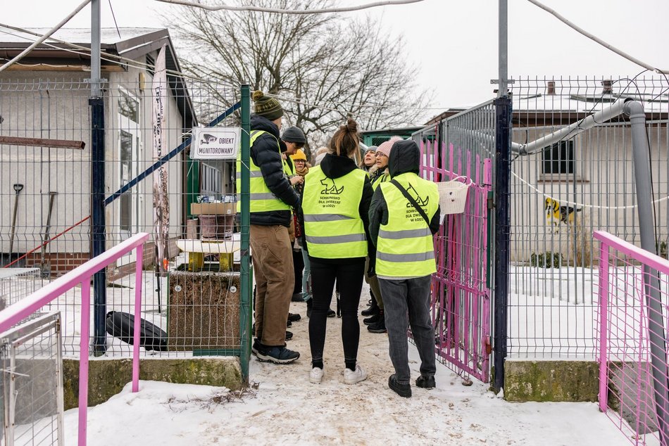 Łódź. Psy ze schroniska w Łodzi znów na spacerze! Dla tych wesołych pyszczków aż chce się chodzić!