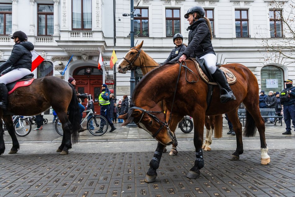 Łódź. WOŚP 2025 w Łodzi. Wielka Szarża przeszła Piotrkowską. Co za widok!