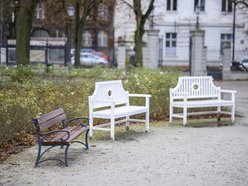 Park Sienkiewicza w Łodzi z nowymi ławkami