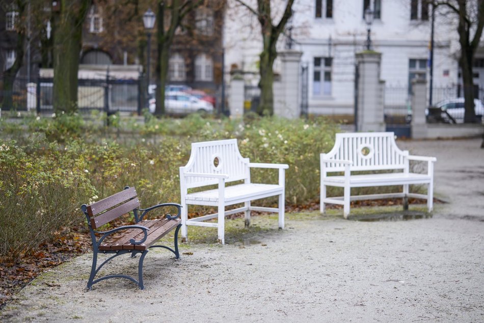 Park Sienkiewicza w Łodzi z nowymi ławkami