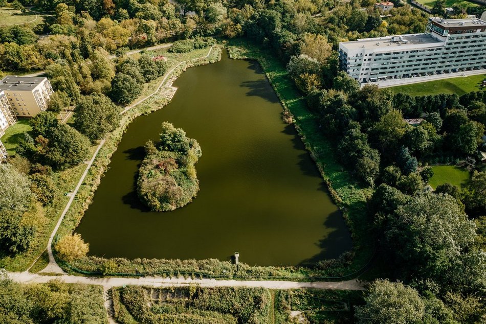 Łódź. Spacer nad rzeką Sokołówką w Łodzi. Przyjdź i porozmawiaj o Julianowie i Marysinie