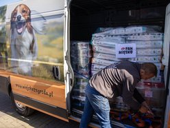 Masa karmy przyjechała do schroniska w Łodzi! W trosce o małe łakomczuchy