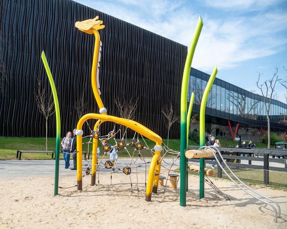 Łódź. Nowa żyrafa w Orientarium Zoo Łódź. Musisz ją poznać!