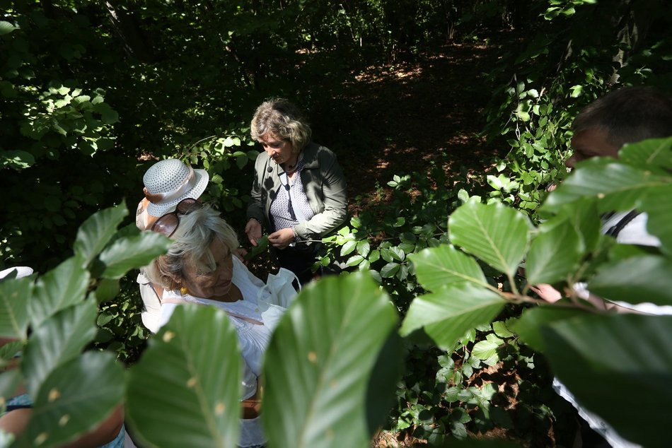 Warsztaty w Ogrodzie Botanicznym w Łodzi