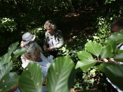 Warsztaty w Ogrodzie Botanicznym w Łodzi