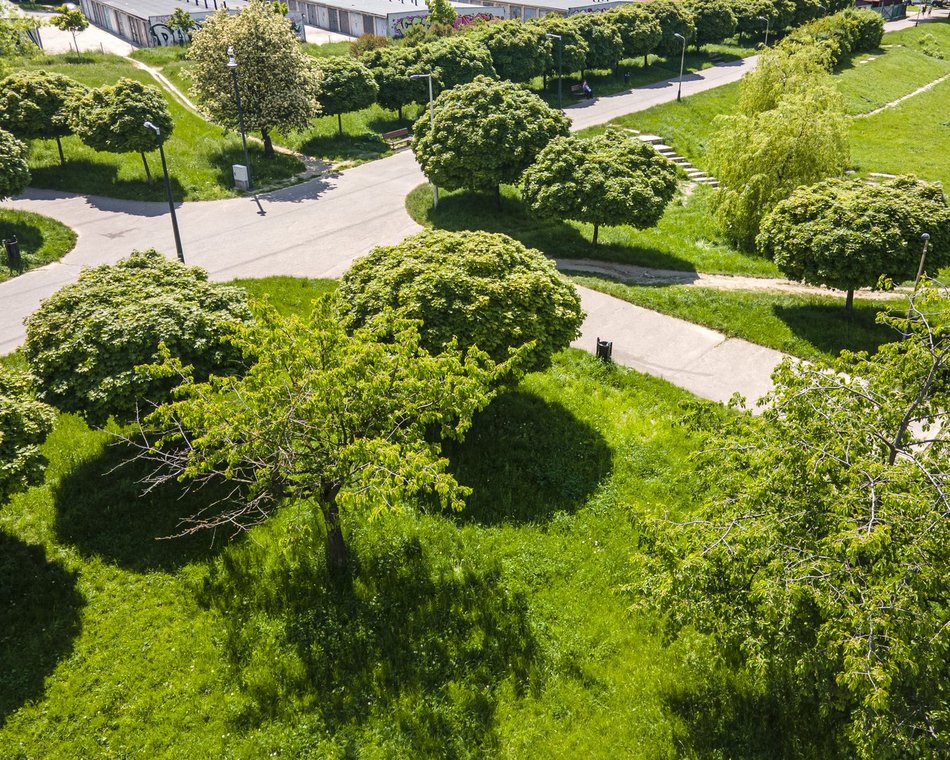 Gdzie grillować w Łodzi? Majówka z bliskim na łonie natury