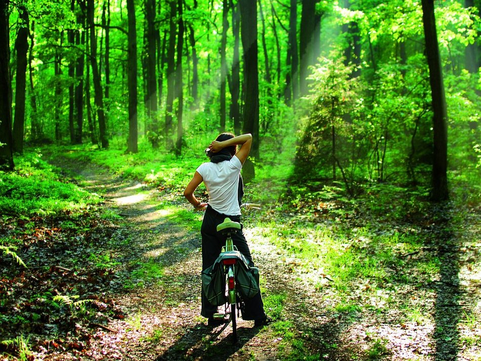 Łódź. Las Łagiewnicki