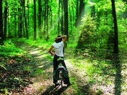 Łódź. Las Łagiewnicki