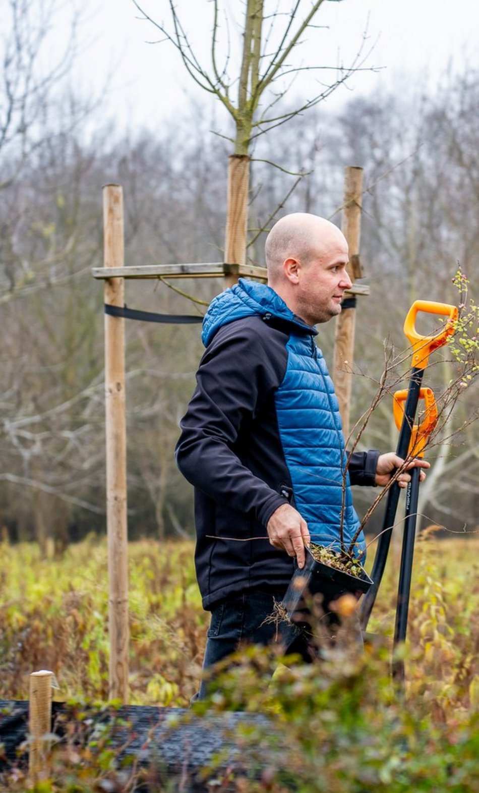 Łódź. Park Pileckiego na Złotnie w Łodzi pięknieje. 300 nowych krzewów i hit dla dzieci