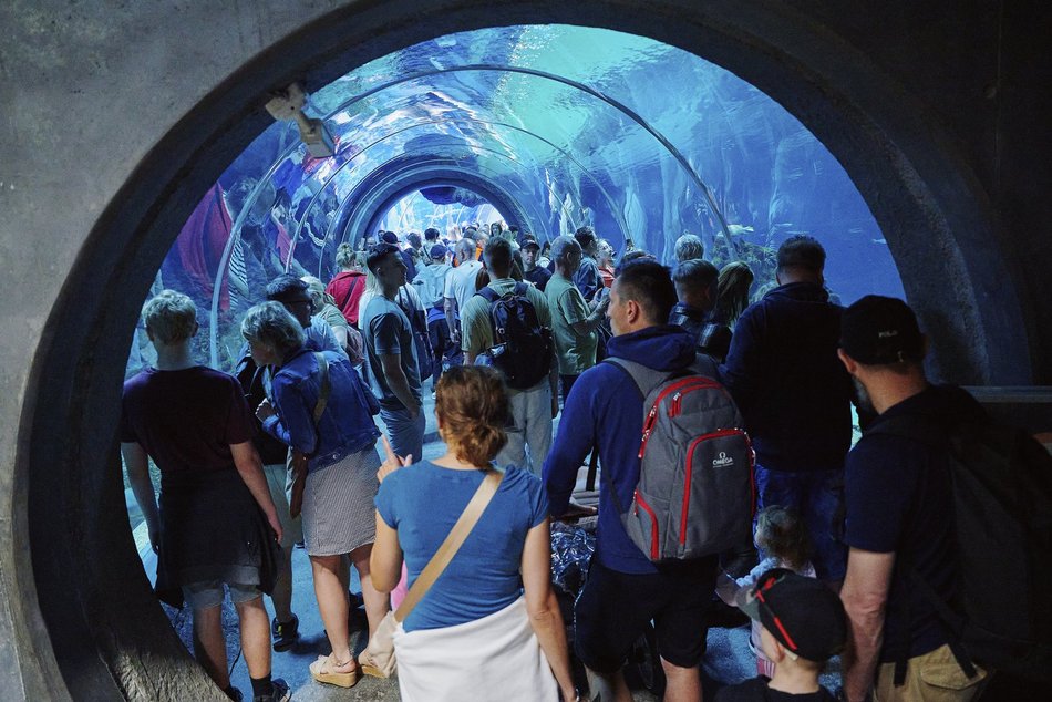 Łódź. Orientarium Zoo Łódź