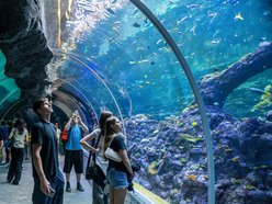 Łódź. Orientarium Zoo Łódź
