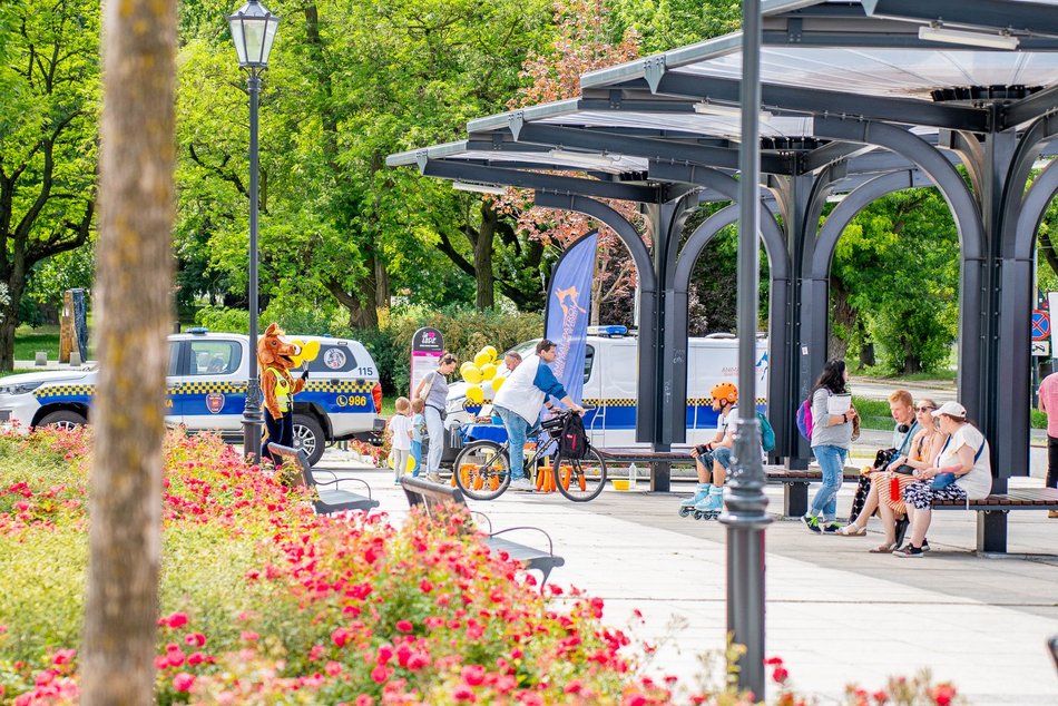 Łódź. Piknik bez barier w Łodzi. Stary Rynek tętnił życiem i pozytywną energią