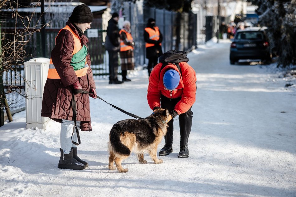Łódź. Psy ze schroniska w Łodzi na spacerze