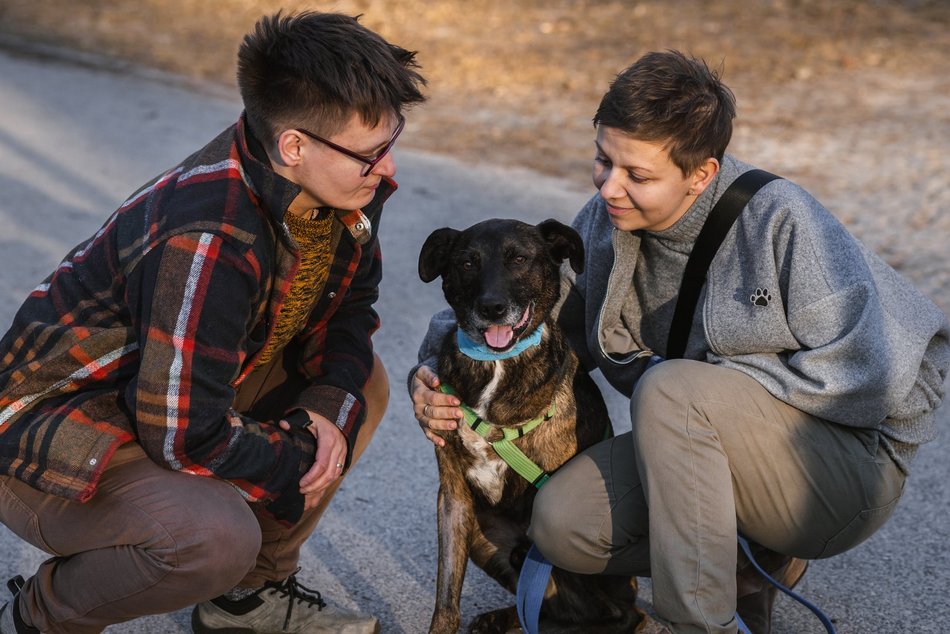 Łódź. Trójnogi Natan ze schroniska w Łodzi znalazł dom! Poznaj Martę i Kasię, które obdarzyły go miłością