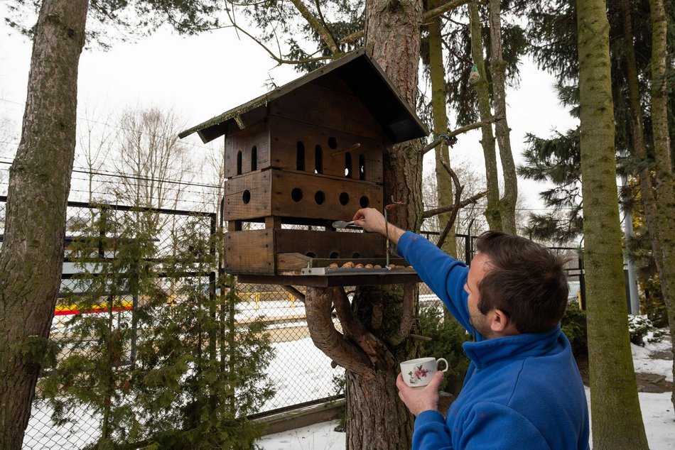 Łódź. Cztery kąty dla wiewiórek i ptaków z Łodzi! Pracownicy ZWiK Łódź zbudowali pomysłowy karminik