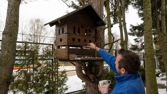 Dom dla wiewiórek i ptaków z Łodzi! Pracownicy ZWiK Łódź zbudowali pomysłowy karminik [ZDJĘCIA]