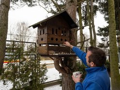 Łódź. Cztery kąty dla wiewiórek i ptaków z Łodzi! Pracownicy ZWiK Łódź zbudowali pomysłowy karminik