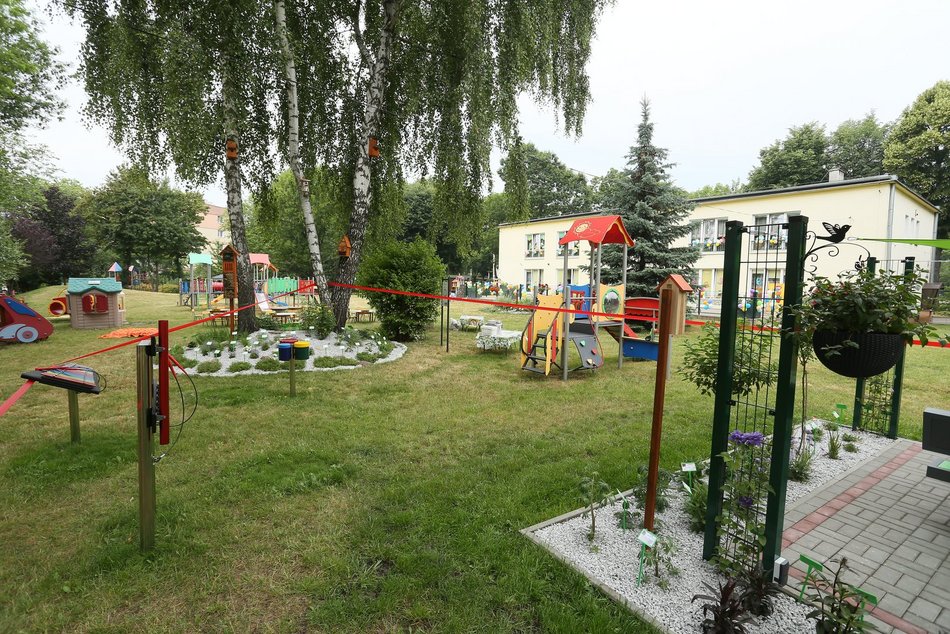 Nowy ogródek dydaktyczny w przedszkolu w Łodzi