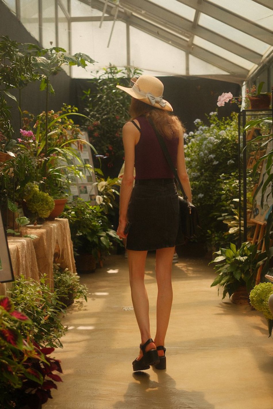 Łódź. Motyle z tropików na długi weekend. Kolorowa wystawa w Palmiarni