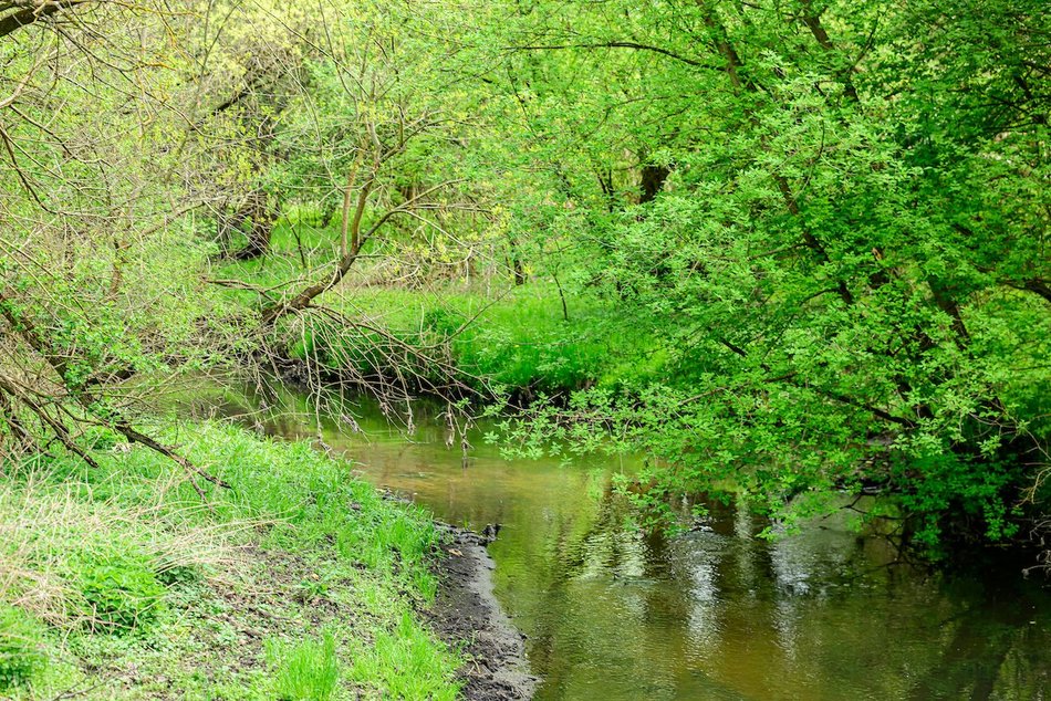 Łódź. Nazwij teren przy rzece Ner w Łodzi! Zielony zakątek w twoich rękach!