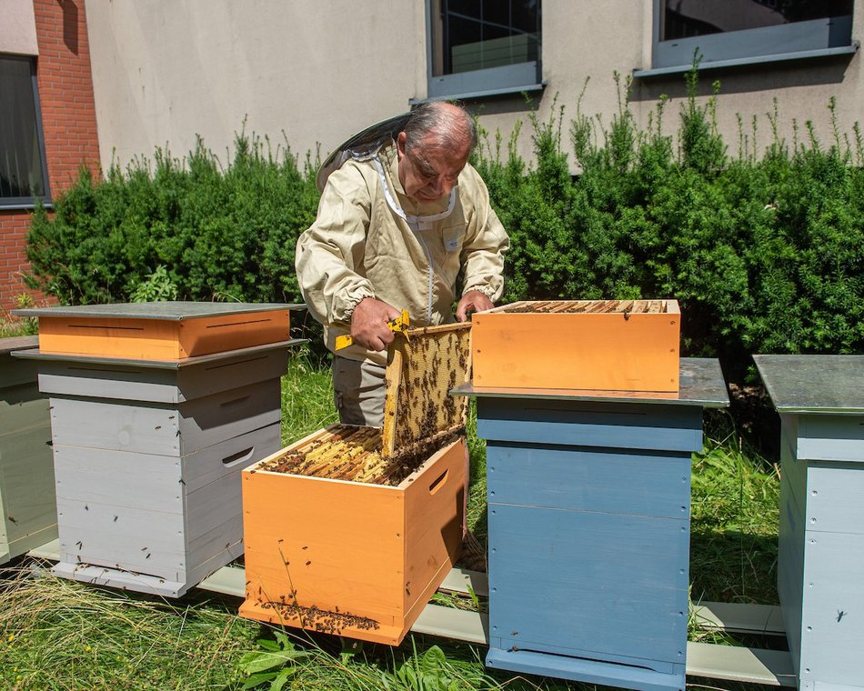 Łódź. Bez nich nie ma życia. Łódź dba o pszczoły nie tylko w Światowy Dzień Pszczół