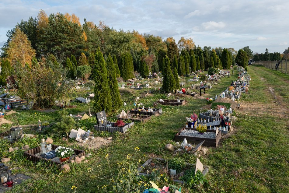 Cmentarz dla zwierząt w Łodzi