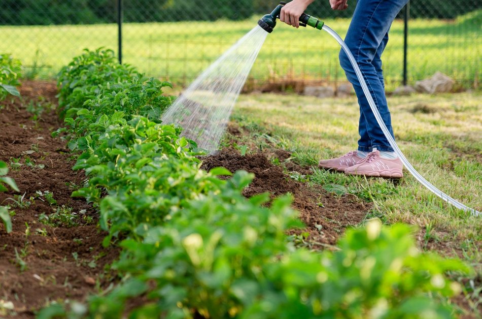 Łódź. Wygodne i efektywne podlewanie? Postaw na odpowiedni wąż ogrodowy