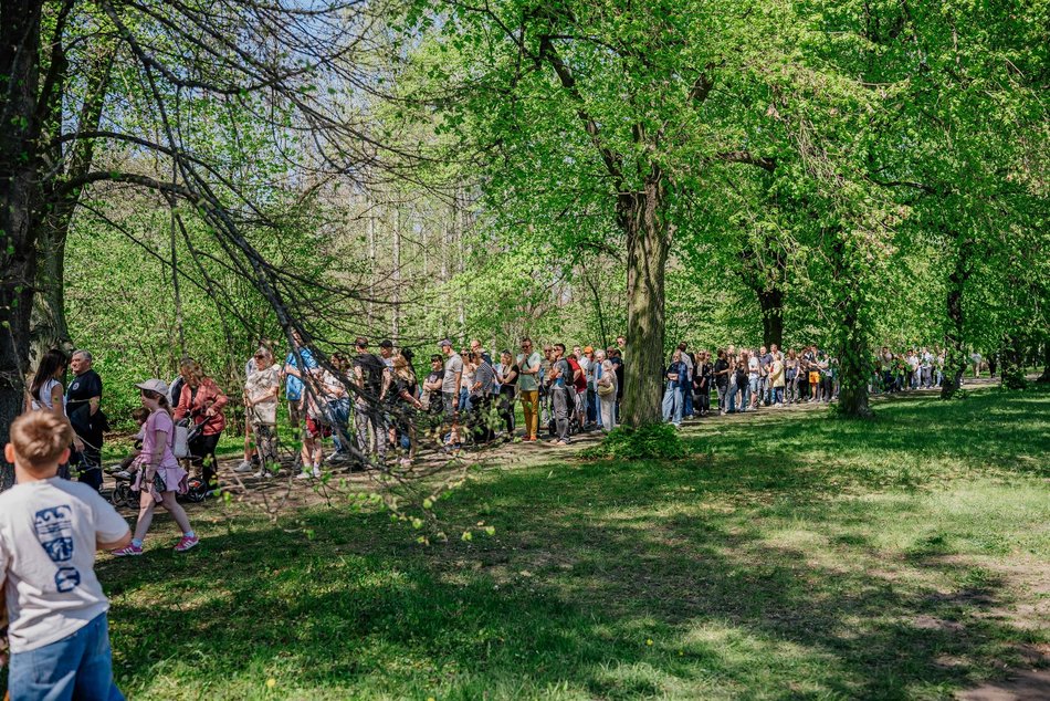 Łódź. Ogród Botaniczny w Łodzi w wiosennej odsłonie