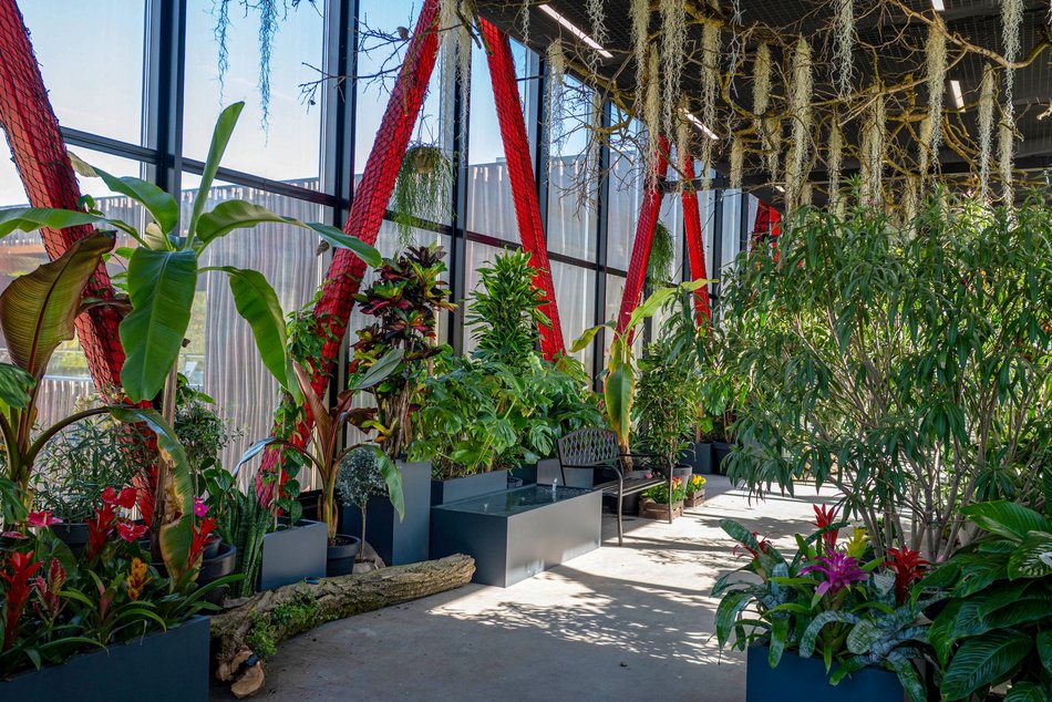 Łódź. Nowa motylarnia w Orientarium Zoo Łódź już otwarta! Największe takie miejsce w Polsce