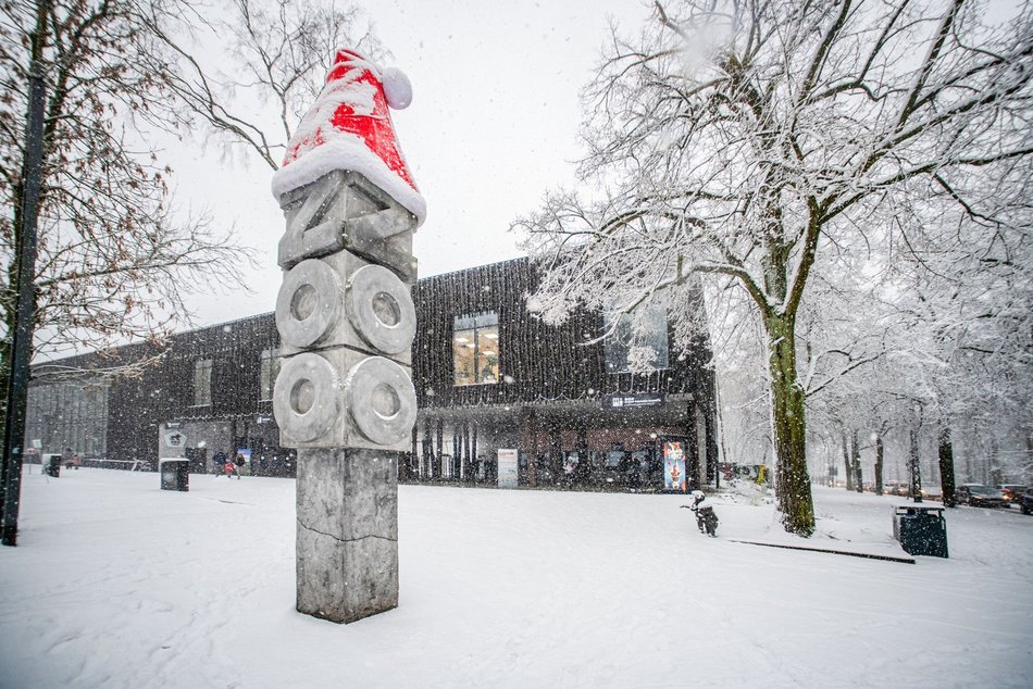 Łódź. Orientarium Zoo Łódź z nominacją w plebiscycie „Zimowe Gwiazdy Travelist 2026”. Oddaj swój głos!